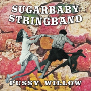 pussy willow - sugarbaby stringband